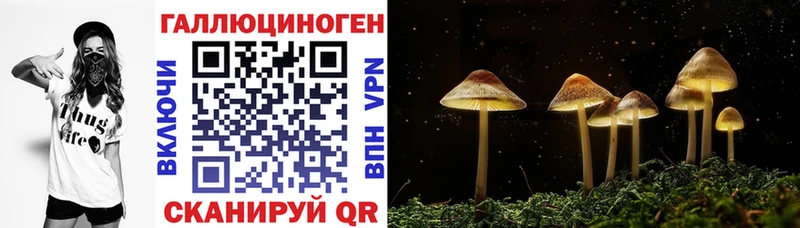 Галлюциногенные грибы мухоморы  сайты даркнета формула  Тайга  где найти  