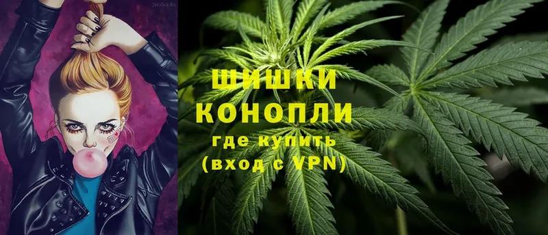 Бошки марихуана SATIVA & INDICA  Тайга 